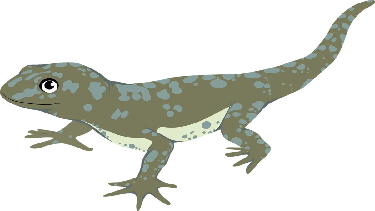 도마뱀에 관련된 꿈해몽