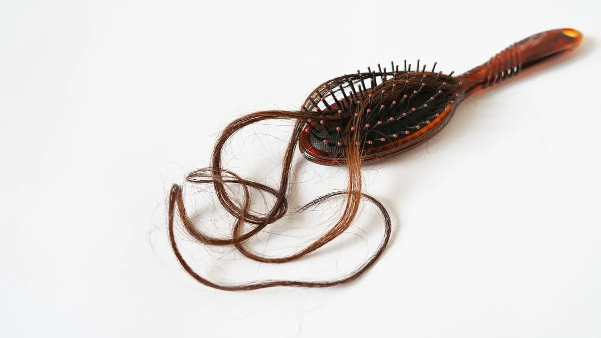 털에 관련된 꿈해몽